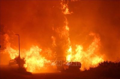 Cháy rừng ngoài tầm kiểm soát, thiêu rụi khoảng 1.600 ha ở Bỉ