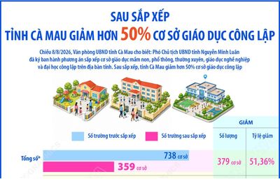 Sau sắp xếp, tỉnh Cà Mau giảm hơn 50% cơ sở giáo dục công lập
