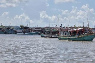 Gành Hào rộn ràng sau những chuyến vươn khơi, sức sống kinh tế nối dài từ biển