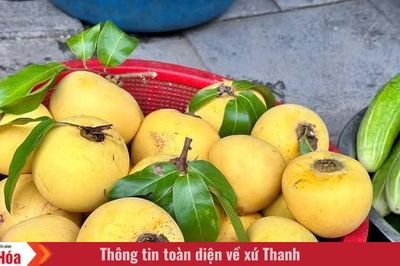 Đong đầy một trời nhớ thương