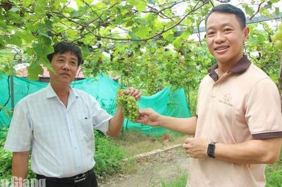 Sức bật mới trên quê hương Bác Tôn