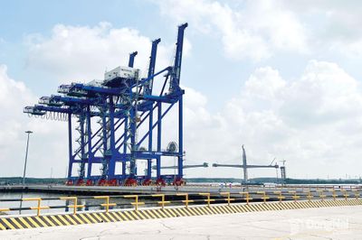 Phát triển chuỗi cung ứng hiện đại và xanh hóa