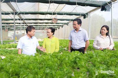 Ðồng hành phát triển sản phẩm OCOP