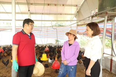Siết chặt quản lý dịch bệnh trong chăn nuôi