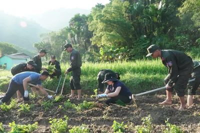 Việt Hồng trồng thử nghiệm 0,36 ha cúc chi gắn với phát triển du lịch cộng đồng