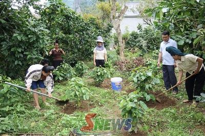 Xây dựng nông thôn mới trong giai đoạn mới