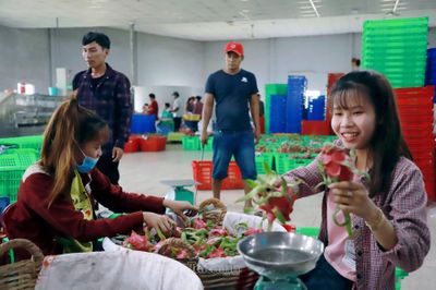 Australia đang mở thêm dư địa cho nông sản, thực phẩm Việt Nam