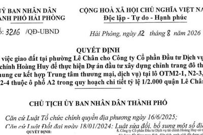 Hải Phòng: Giao hơn 16.000m2 đất cho Công ty Hoàng Huy để thực hiện dự án