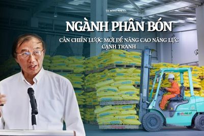 Ngành phân bón cần chiến lược mới để nâng cao năng lực cạnh tranh