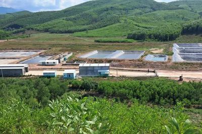 Sau phản ánh của Báo Công an nhân dân, một chủ trại heo bị phạt 180 triệu đồng