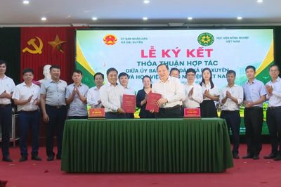 Xã Đại Xuyên liên kết hợp tác trong lĩnh vực nông nghiệp