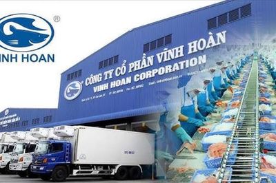 Vĩnh Hoàn (VHC) báo doanh thu tháng 7 giảm 10%, thị trường Mỹ lao dốc 36%
