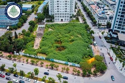 Hải Phòng: Thu hồi 2.294 m² đất tại dự án khu nhà ở Anh Dũng IV
