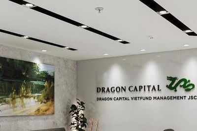 Quỹ đầu tư Dragon Capital: Thị trường chứng khoán thường phục hồi vượt đỉnh sau các nhịp điều chỉnh sâu