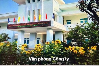 Gia Lai: Sáp nhập 14 Công ty lâm nghiệp do Nhà nước nắm giữ 100% vốn điều lệ