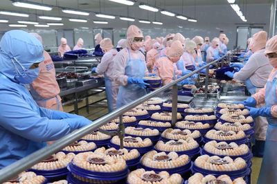 'Vua tôm' Minh Phú và chiến lược đi từ con giống đến bàn ăn toàn cầu