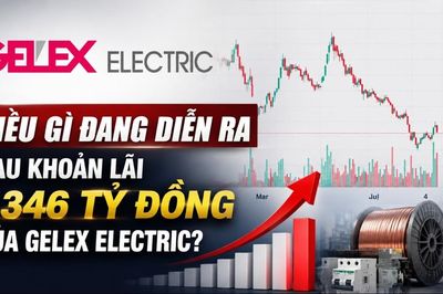 Điều gì đang diễn ra sau khoản lãi 1.346 tỷ đồng của GELEX Electric?