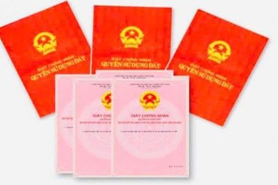 Lâm Đồng yêu cầu đẩy mạnh cấp Giấy chứng nhận quyền sử dụng đất lần đầu