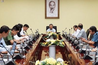 Đà Nẵng định hướng đưa Sâm Ngọc Linh trở thành cây chủ lực