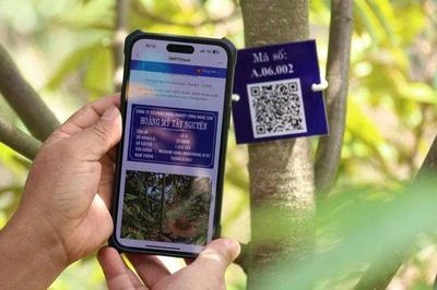 Tăng cường triển khai cấp mã số vùng trồng, cơ sở đóng gói, mở rộng cơ hội xuất khẩu