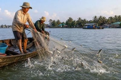 Đồng Tháp tăng cường phối hợp bảo vệ nguồn lợi thủy sản