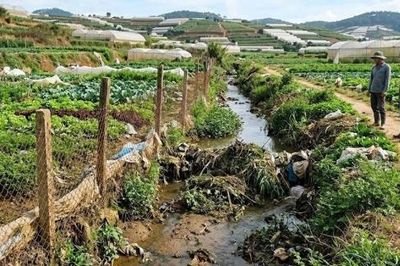 Lâm Đồng: Yêu cầu giải quyết nguy cơ ngập úng tại phường Lâm Viên - Đà Lạt