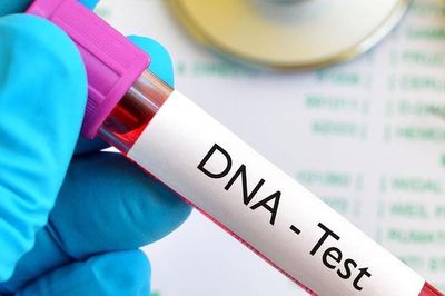 Cô gái lạ dắt đứa trẻ và giấy xét nghiệm ADN đến nhận cha khi chồng tôi vừa mất