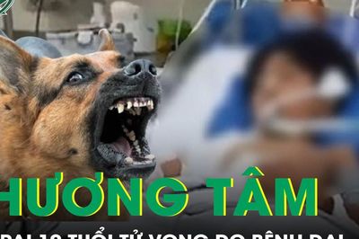 Bé trai 10 tuổi tử vong thương tâm do bệnh dại