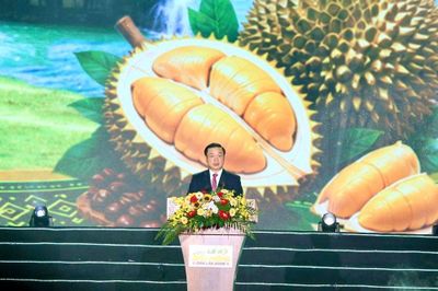 Khai mạc Lễ hội Sầu riêng Đắk Lắk 2026: Nâng tầm giá trị, vươn xa bằng thương hiệu