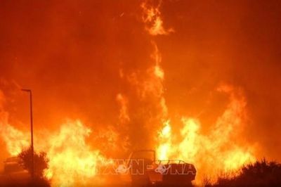 Cháy rừng kỷ lục ở Bỉ đang lan sang Đức