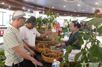 Đà Nẵng mở hướng phát triển công nghiệp dược liệu