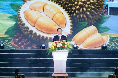Sầu riêng Đắk Lắk: Từ đất đỏ bazan đến hành trình vươn ra thế giới