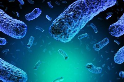 AI tạo virus có khả năng tiêu diệt vi khuẩn kháng thuốc