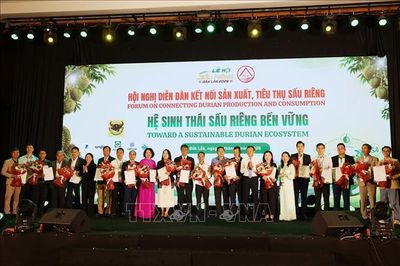 Kết nối sản xuất, tiêu thụ, xây dựng hệ sinh thái sầu riêng bền vững