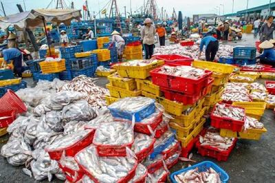 Nhiều vướng mắc gây ách tắc hồ sơ chứng nhận xuất xứ hàng hoá