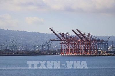 Xuất khẩu Brazil sang Mỹ lao dốc do tác động của thuế quan