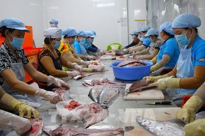 Phụ nữ Cần Thơ xanh hóa sinh kế
