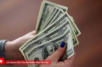 Tỷ giá ngoại tệ ngày 16/8: USD ngân hàng duy trì vùng bán ra 26.330 đồng