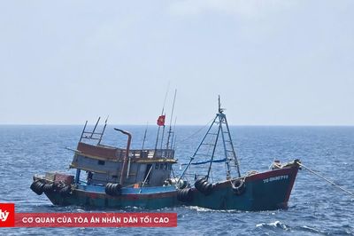 Bộ Tư lệnh Vùng Cảnh sát biển 4 bắt giữ tàu vận chuyển trái phép khoảng 130.000 lít dầu D.O