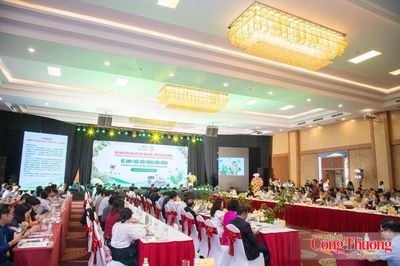 Sầu riêng trước yêu cầu nâng tầm giá trị xuất khẩu