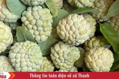 Ký ức mùa na