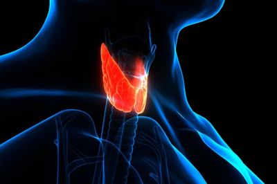 Mệt mỏi kéo dài, vẫn thấy lạnh giữa mùa Hè có thể là dấu hiệu suy giáp