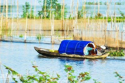 Mùa nước nổi - từ cánh đồng đến bữa cơm miền Tây