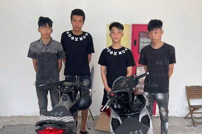 Truy xét nhanh vụ trộm 'heo đất' chứa 180 triệu đồng