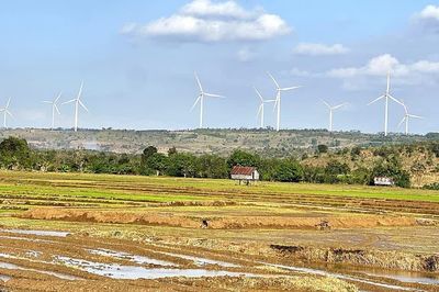 Gia Lai phê duyệt kết quả chọn nhà đầu tư dự án nhà máy điện gió 1.600 tỷ đồng