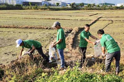 Hướng dẫn các tiêu chí môi trường trong xây dựng nông thôn mới giai đoạn 2026 - 2030