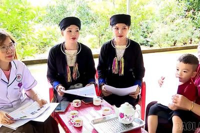 Cảnh giác nguy cơ ngộ độc từ nấm rừng và thực phẩm tự nhiên