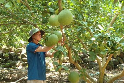 Lương Sơn phát huy hiệu quả công trình thủy lợi, nâng cao giá trị nông sản
