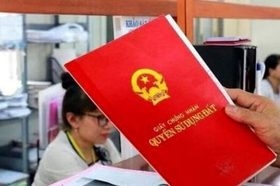 Một cuốn sổ đỏ, cả gia tài: Lâm Đồng quyết không để dân 'chạy lòng vòng'