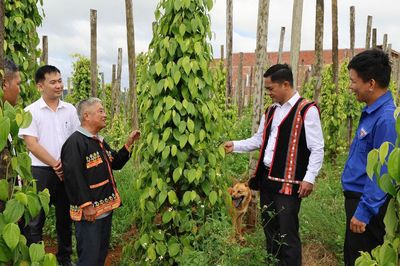 Lâm Đồng đẩy mạnh tuyên truyền 3 nhiệm vụ trọng tâm
